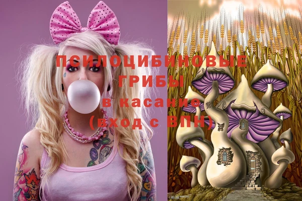 дмт Абинск