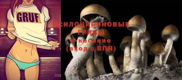 ПСИЛОЦИБИНОВЫЕ ГРИБЫ Абдулино