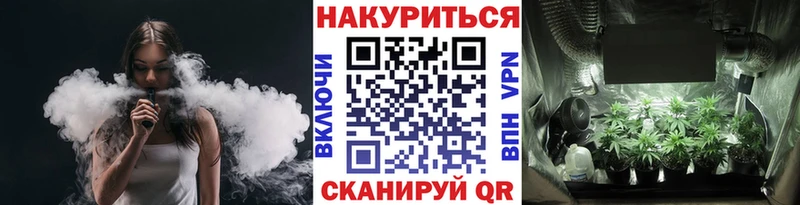 Шишки марихуана OG Kush Усть-Кут